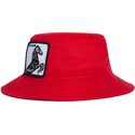 goorin-bros-horse-stallion-im-a-little-hoarse-the-farm-red-bucket-hat