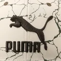 puma-flat-brim-ls-colour-block-white-and-green-snapback-cap