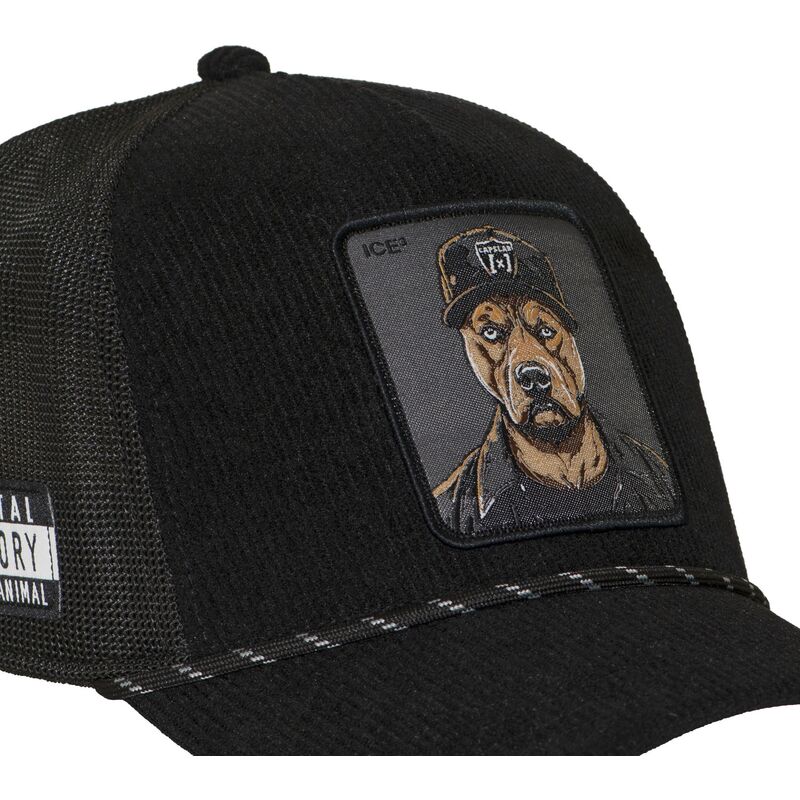 capslab-bad-dog-hip-badb-hip-hop-dogz-black-trucker-hat