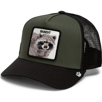 Raccoon